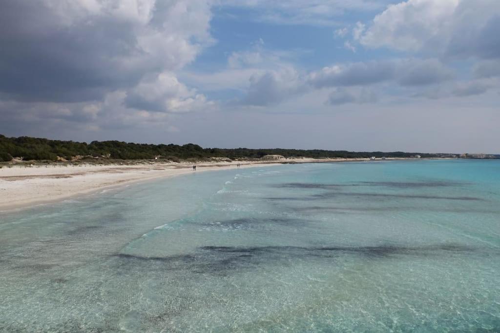 Bonito Chalet En Sa Ràpita Dış mekan fotoğraf